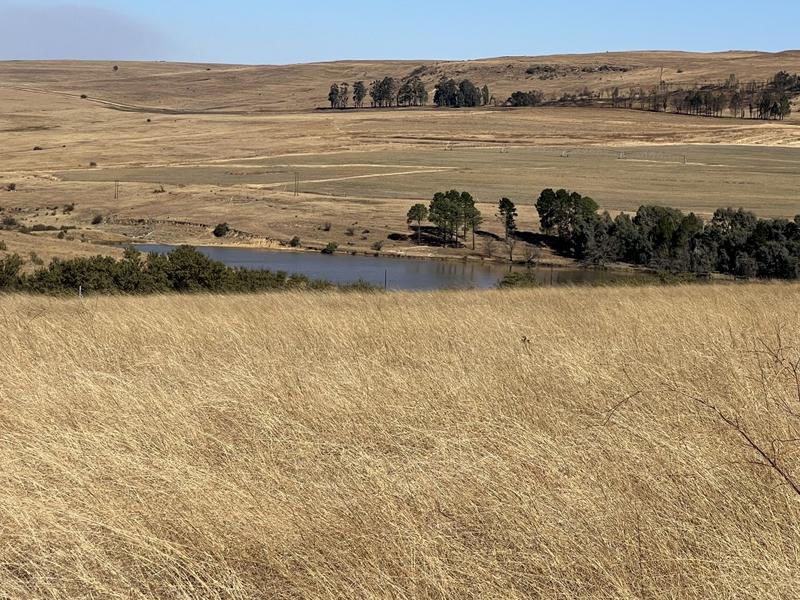 0 Bedroom Property for Sale in Harrismith Free State